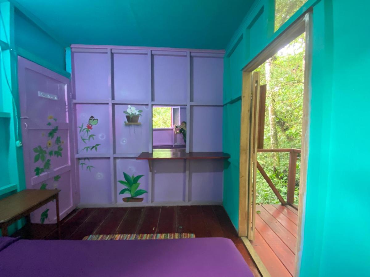 Hidden Jungle Beach House Puerto Viejo de Talamanca Экстерьер фото