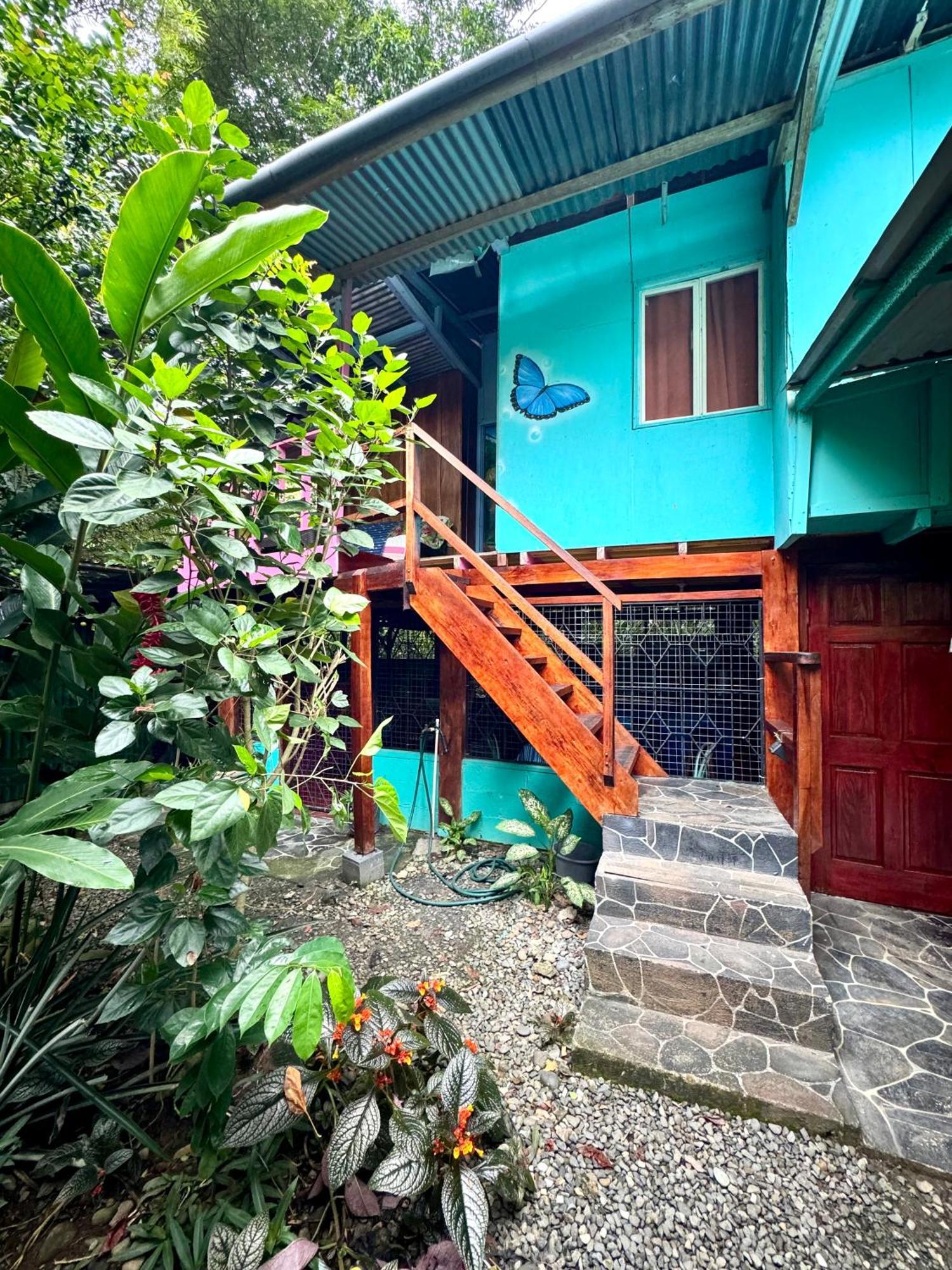 Hidden Jungle Beach House Puerto Viejo de Talamanca Экстерьер фото