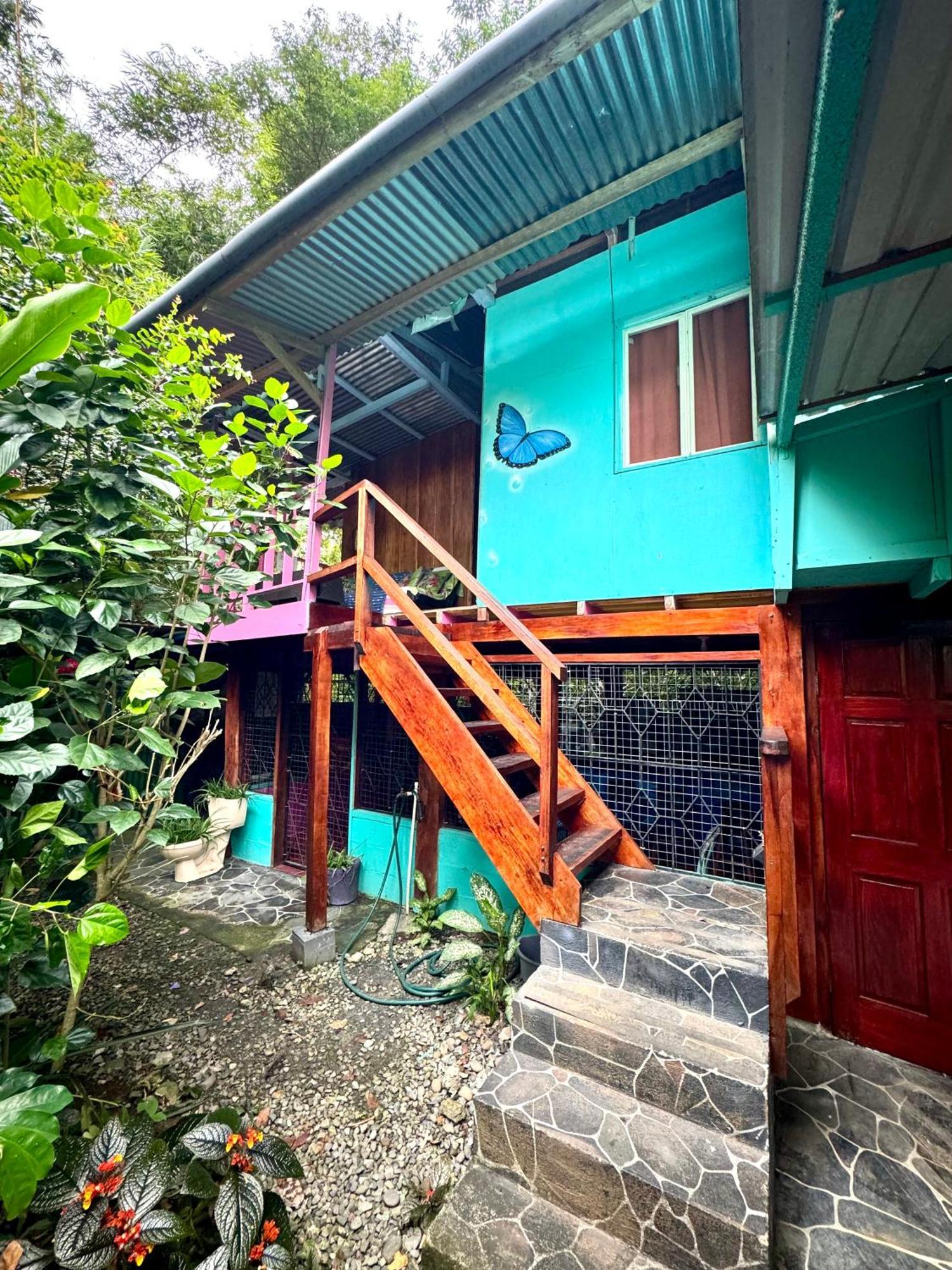 Hidden Jungle Beach House Puerto Viejo de Talamanca Экстерьер фото
